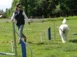 k-DSC02683.JPG