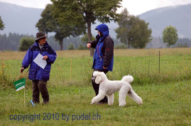 Faulenfuerst2010088