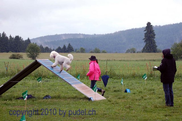 Faulenfuerst2010094