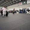 Fribourg_2011026